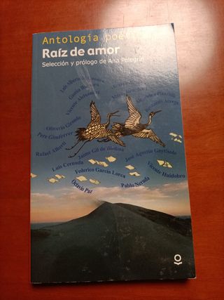 Raíz de amor