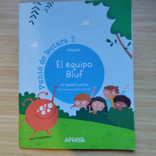 El equipo Bluf 2 primaria 