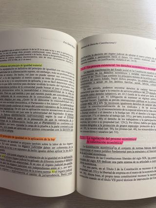 Derecho Constitucional I