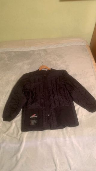 Chaqueta moto alpinestars y  pantalon daynese