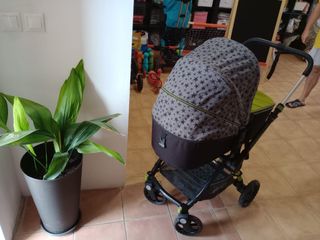 Carrito Jane Minnum Matrix 