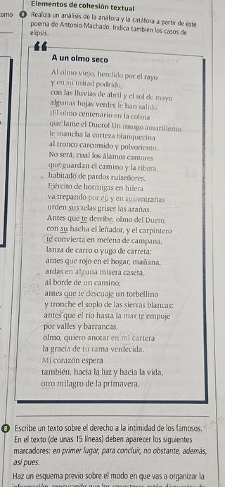 Lengua Castellana y Literatura 1°Bachi