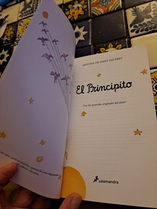 Libro El Principito salamandra