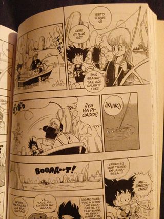 Libro Dragonball