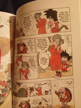 Libro Dragonball