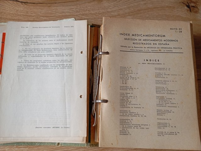Archivos de veterinaria práctica colección Areteo
