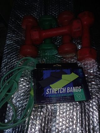 Pesas de gimnasio 
