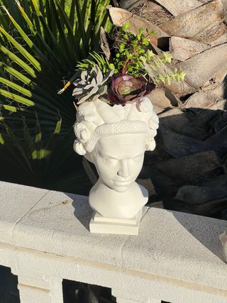 Maceta gorgona medusa/ escultura antigua