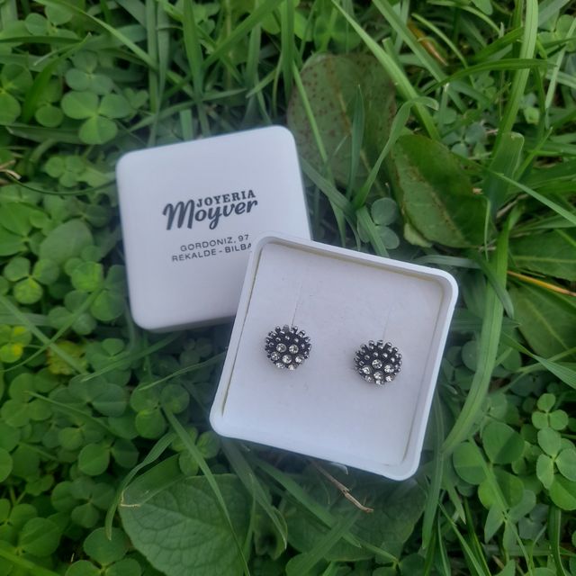 Sortija T/17 y Pendientes Plata + REGALO