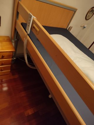 Cama ortopedica