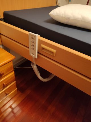 Cama ortopedica