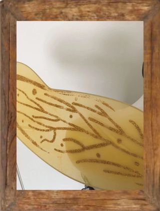 Disfraz Abeja sexy Talla M-L Adulto
