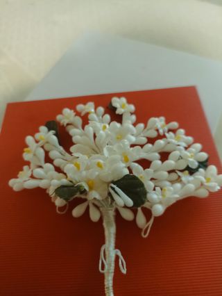 Azahar de Novia Alicantina de adulta