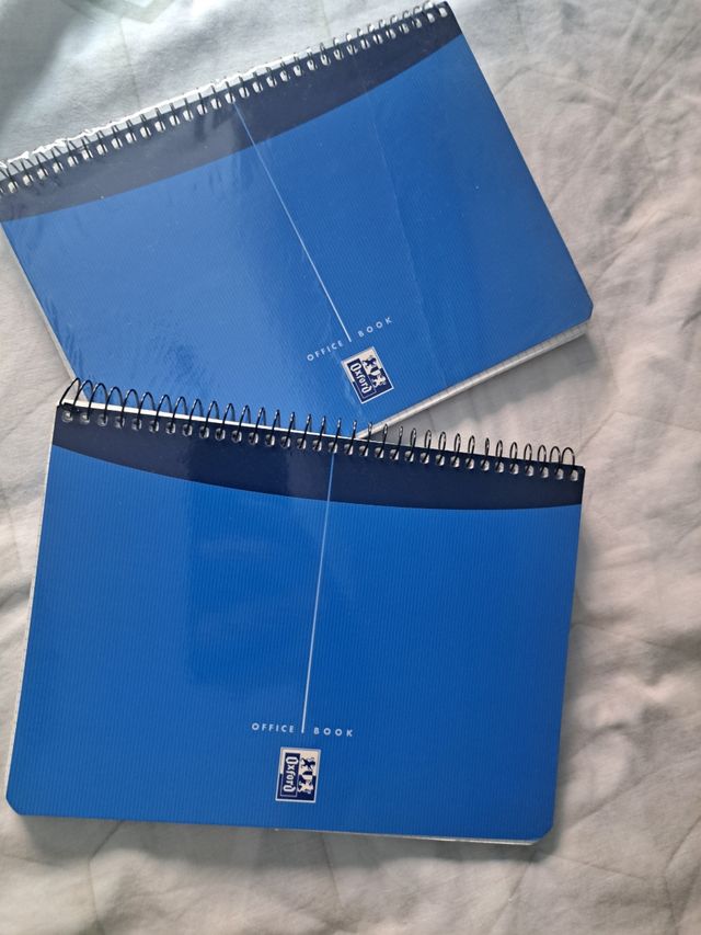 Lote 2 cuadernos