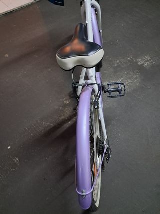Bicicleta paseo 24 pulgadas 