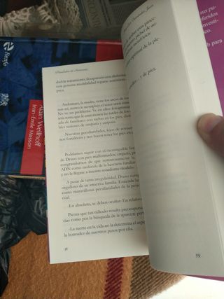 Pinceladas de harmonía