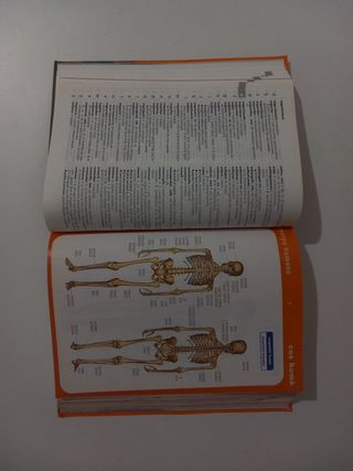 Diccionario bilingue Castellano-Catalan