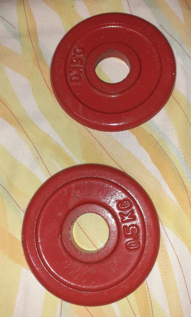 2 discos para pesas de 0,5 kilos