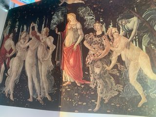 Libri Arte antichi collezionismo Rizzoli 8 volumi