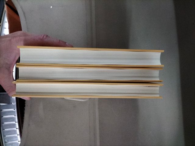 Diario de la novela I, II y III. Completo - Antoni