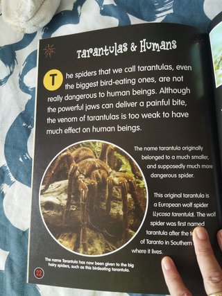 Tarangula's Big Plan
