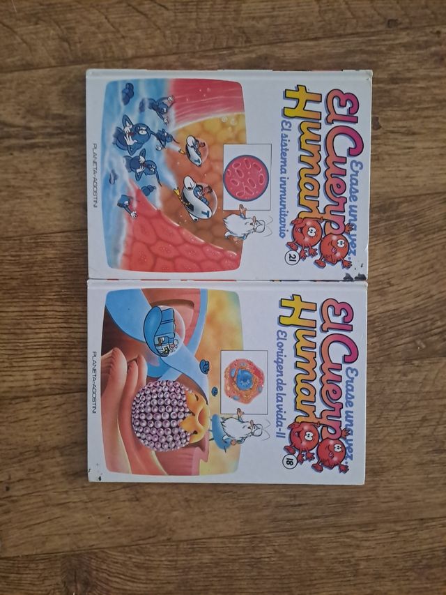 Lote libros el cuerpo humano