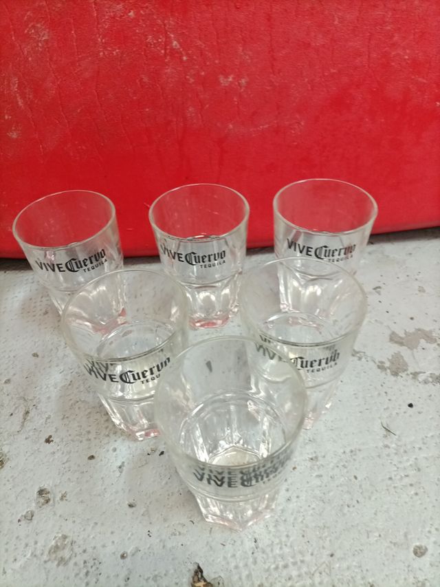 Vasos tequila cuervo