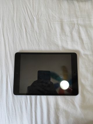 iPad mini 1