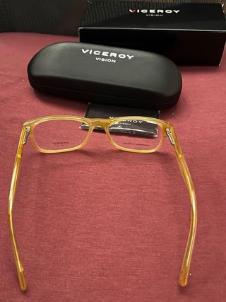 Gafas de ver Viceroy
