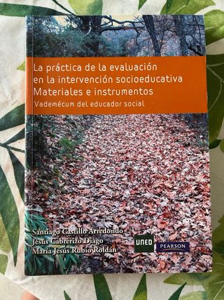 La practica de la evaluacion en la interv.socioed.