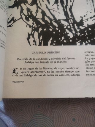 Don quijote de la mancha(2 vol)