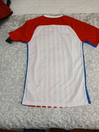 Camiseta Nike