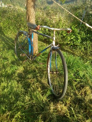 Bici Media carrera BH años 50