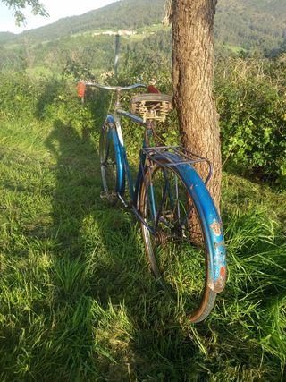 Bici Media carrera BH años 50