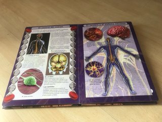 Libro puzzle “El cuerpo humano”