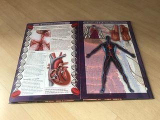 Libro puzzle “El cuerpo humano”