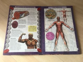Libro puzzle “El cuerpo humano”