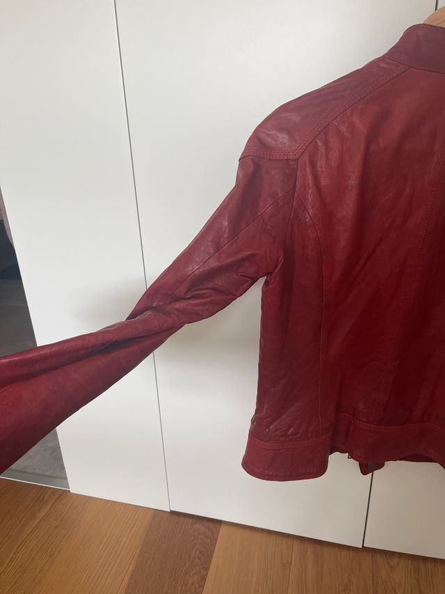 Chaqueta Tommy Hilfiger