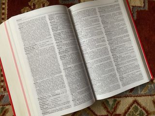 Diccionario Larousse Francés