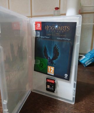Hogwarts legacy nintendo switch