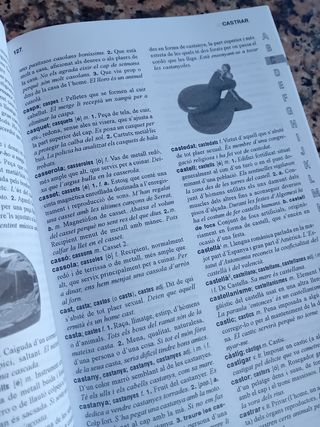 Diccionario Valenciano primaria