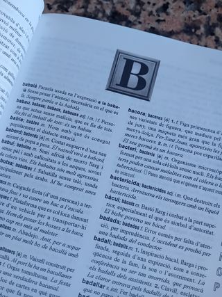 Diccionario Valenciano primaria