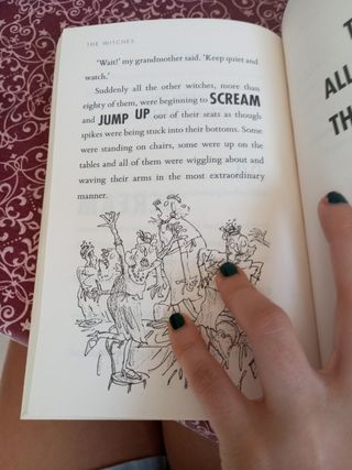 The wiches Roald Dahl