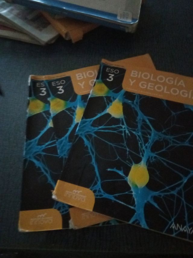 Libros 3 de la eso
