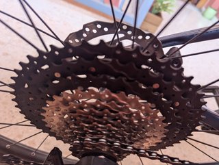 Orbea Alma