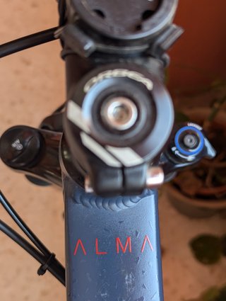 Orbea Alma