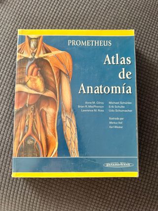 Libro anatomia Prometheus