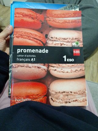 Libro francés Promenade 1 eso