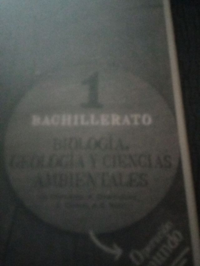Libros 1 de bachillerato