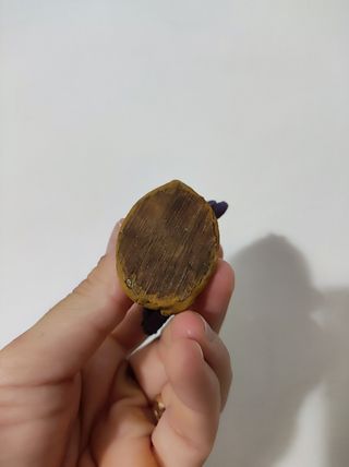 Fatina in guscio di noce